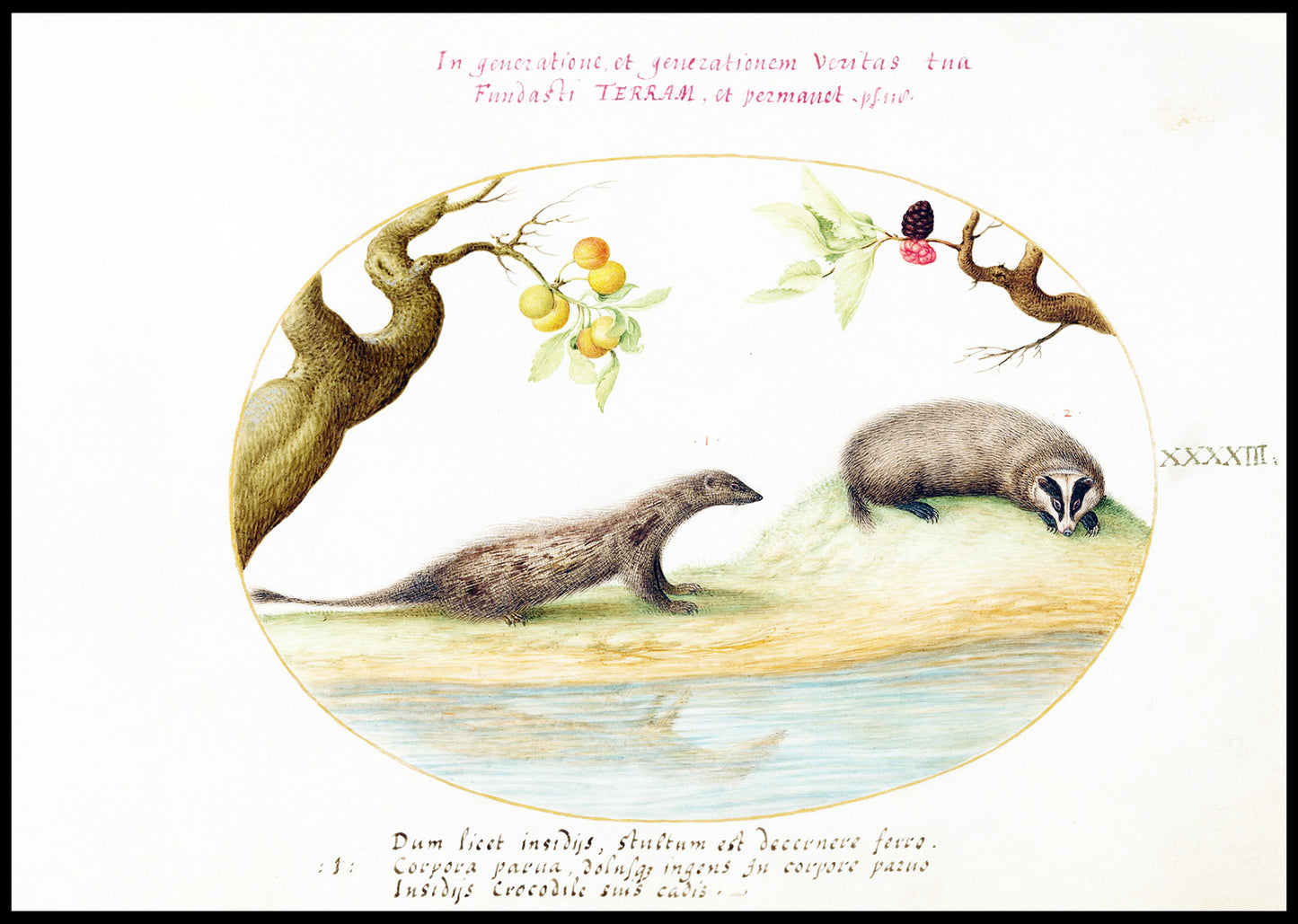 Mongoose and Badger with Fruit Trees