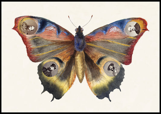 "Madame B" Butterfly Poster