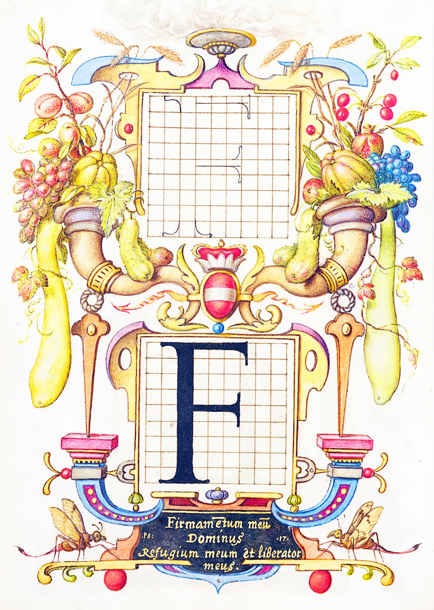 Guide for Constructing the Letter F