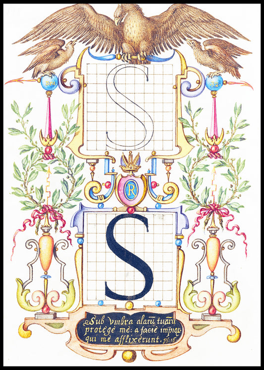 Guide for Constructing the Letter S