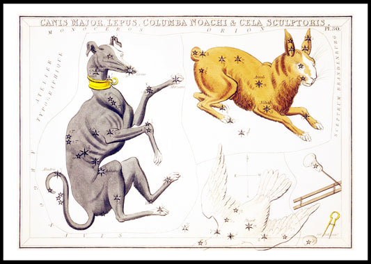 Canis Major, Lepus, Columba Noachi & Cela Sculptoris