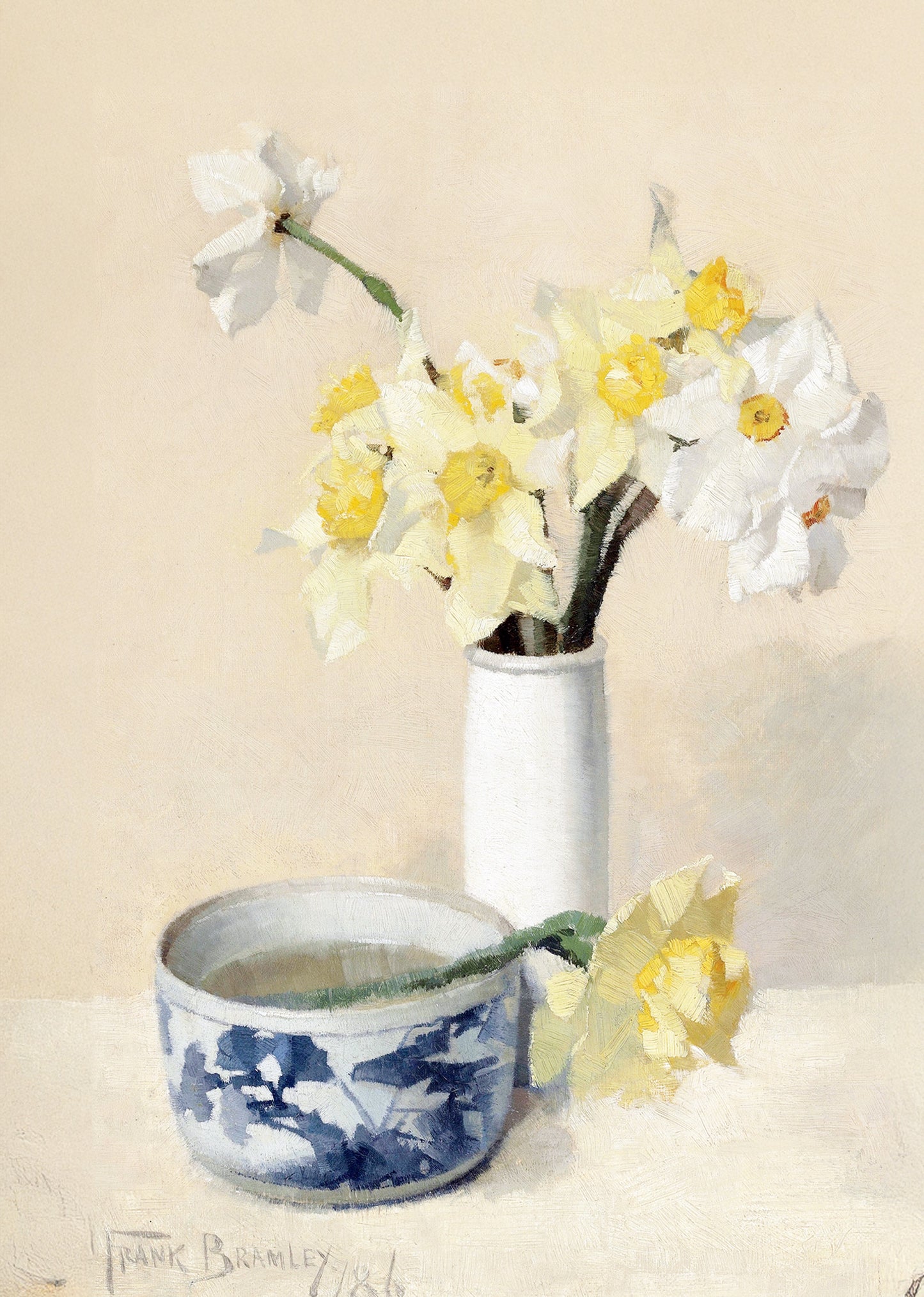 Daffodils and Narcissi