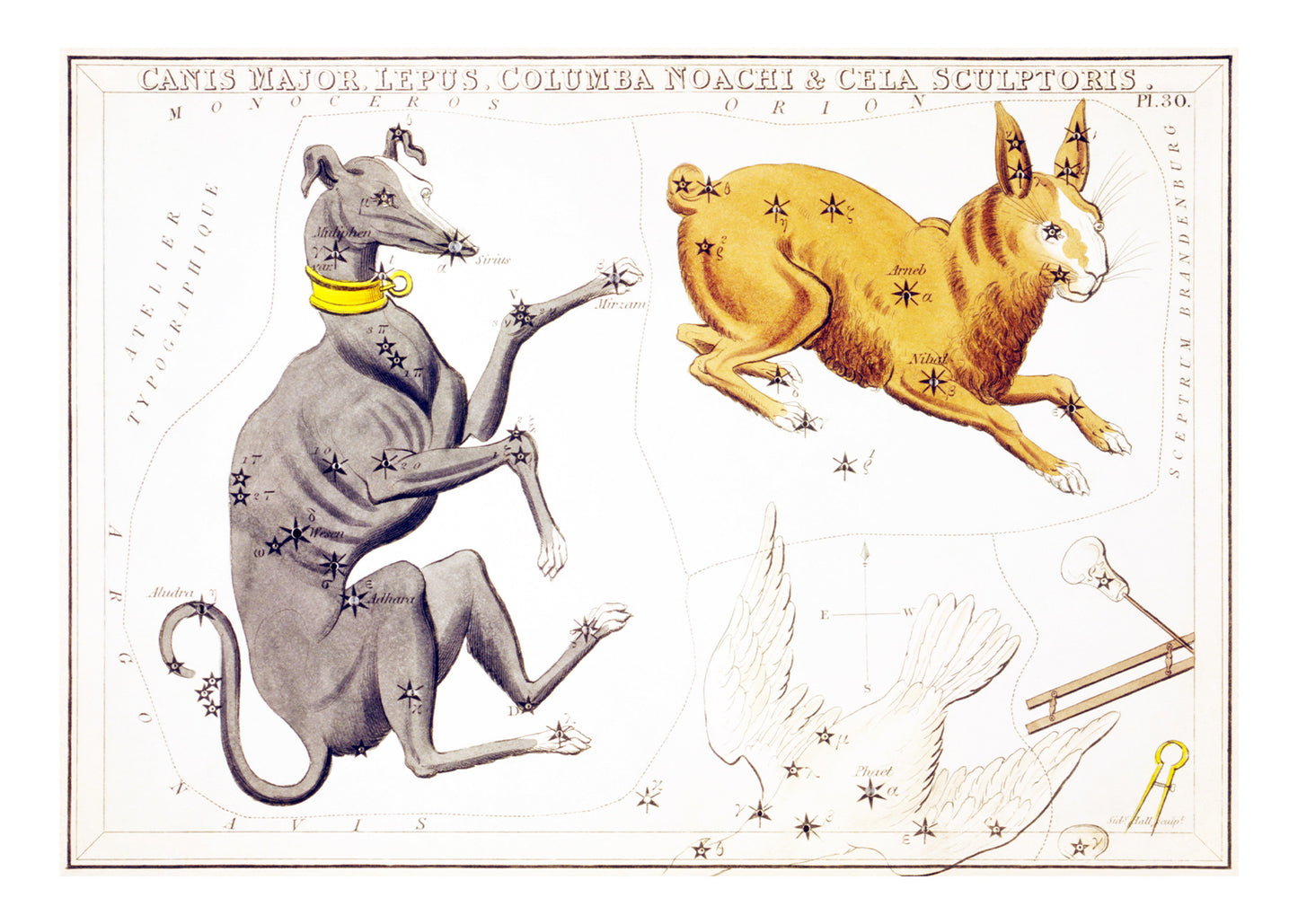 Canis Major, Lepus, Columba Noachi & Cela Sculptoris