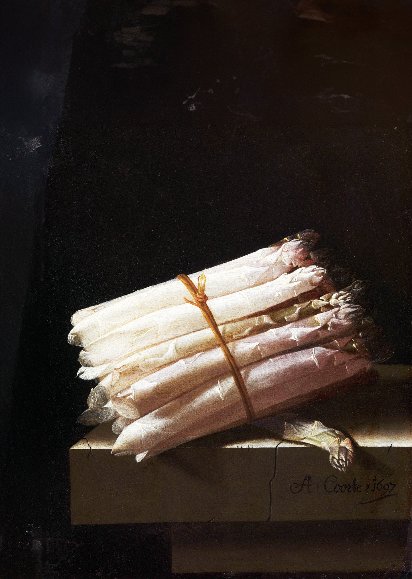 Still Life with Asparagus