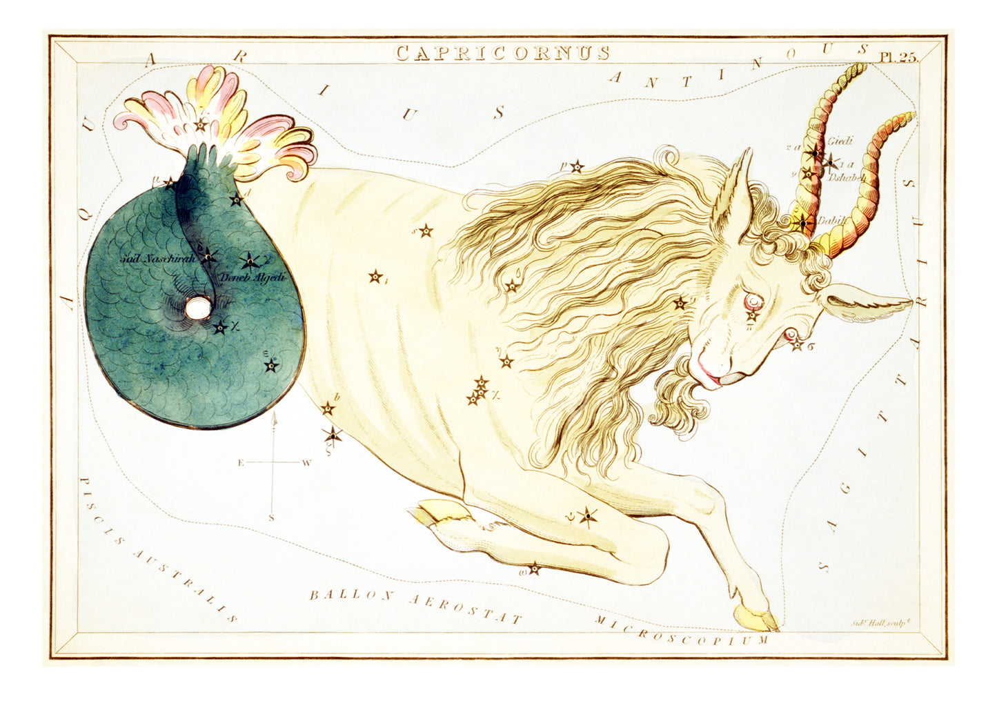 Capricornus