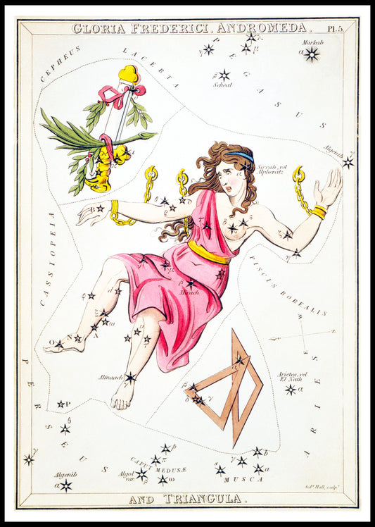 Gloria Frederici, Andromeda, and Triangula