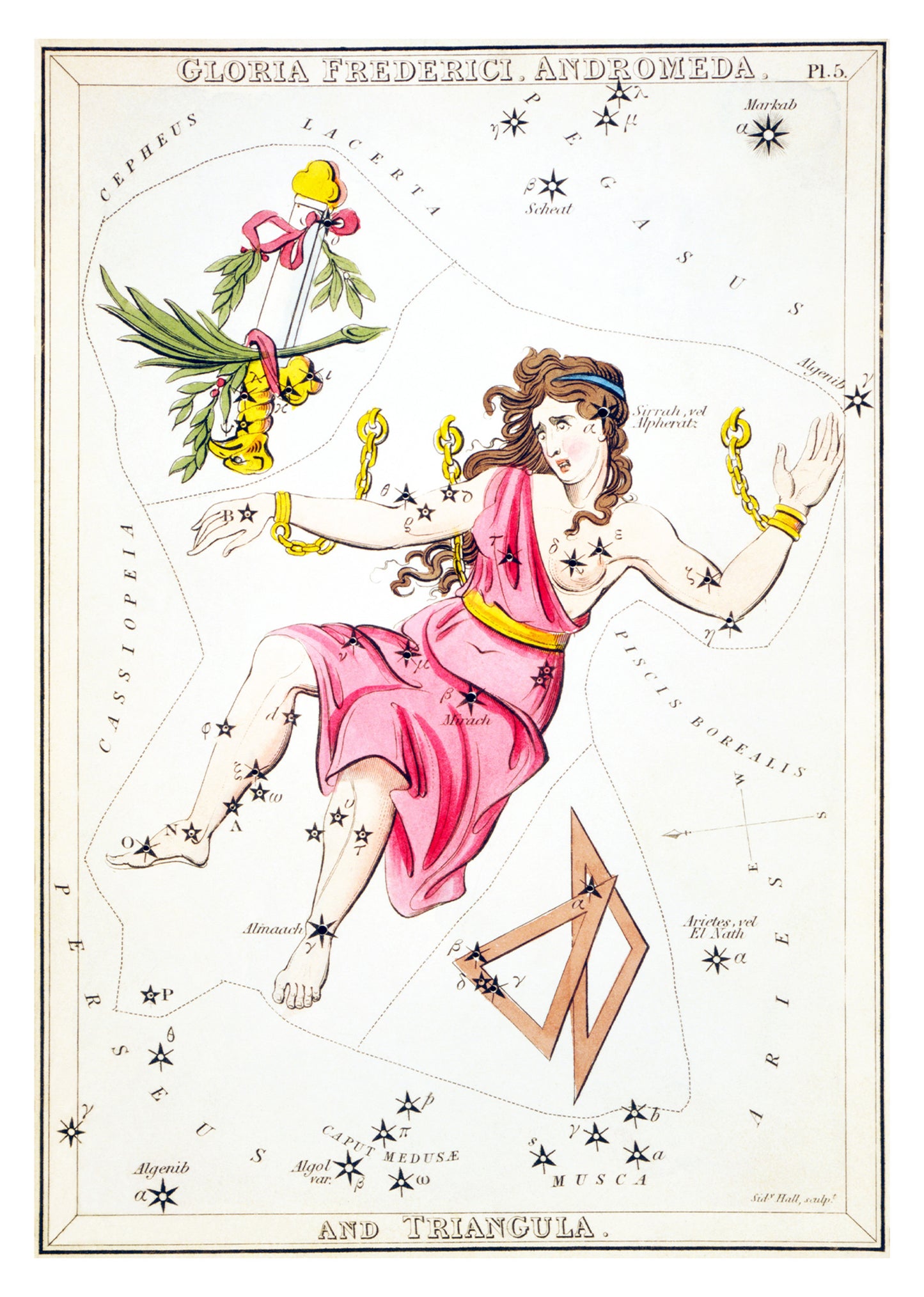 Gloria Frederici, Andromeda, and Triangula