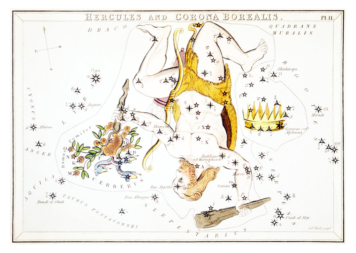 Hercules and Corona Borealis