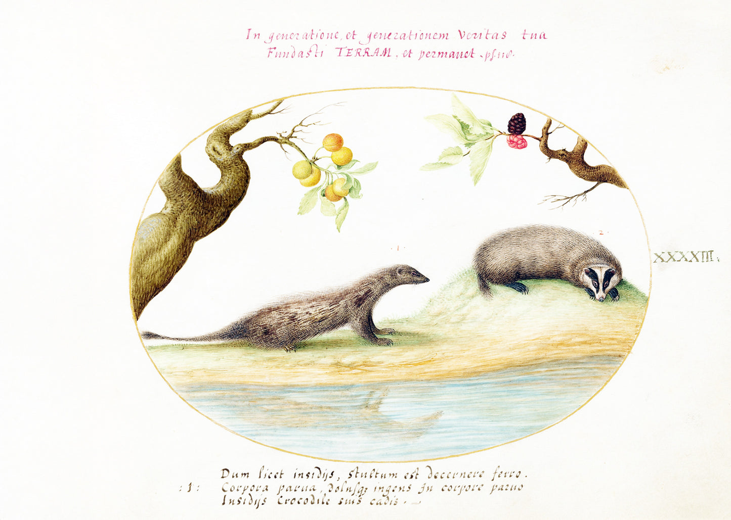 Mongoose and Badger with Fruit Trees