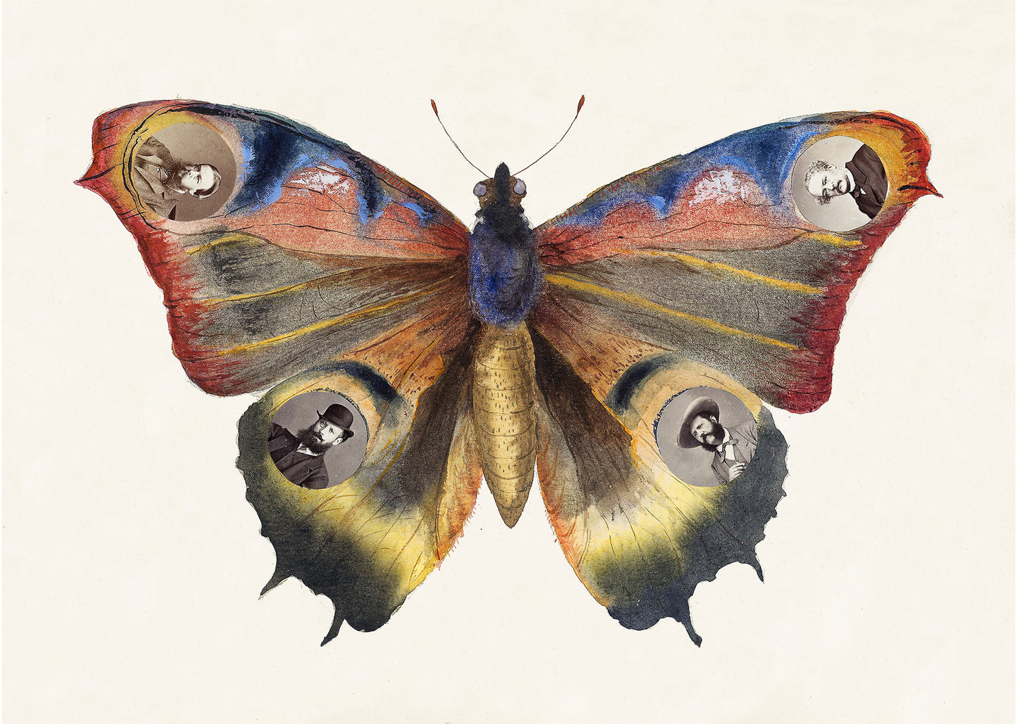 "Madame B" Butterfly Poster