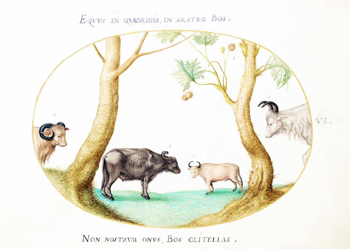 A Variety of Oxen with a Ram and a Water Buffalo by a Plane Tree