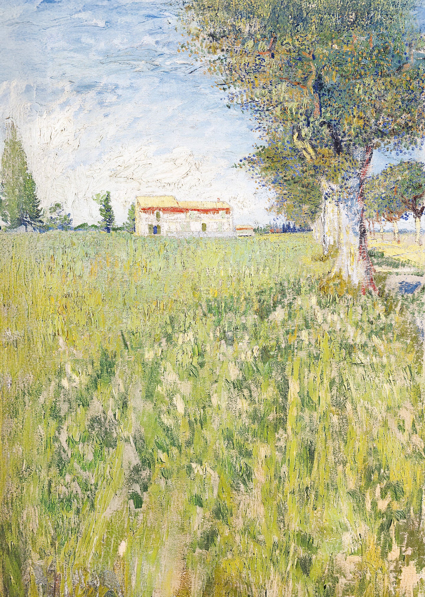 Farmhouse in a Wheat Field