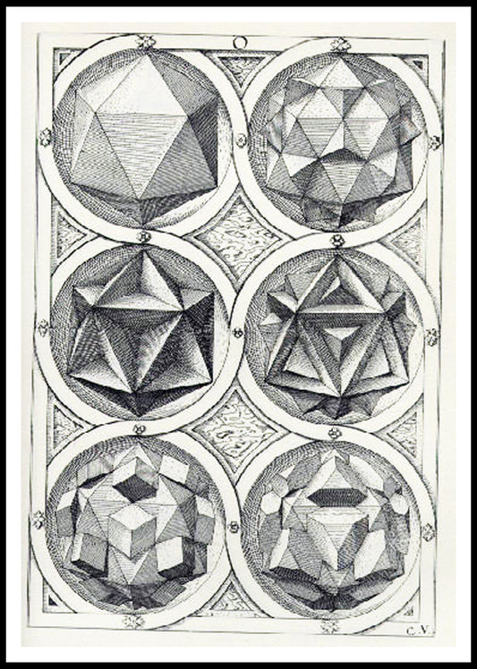 Perspective of the Regular Bodies V