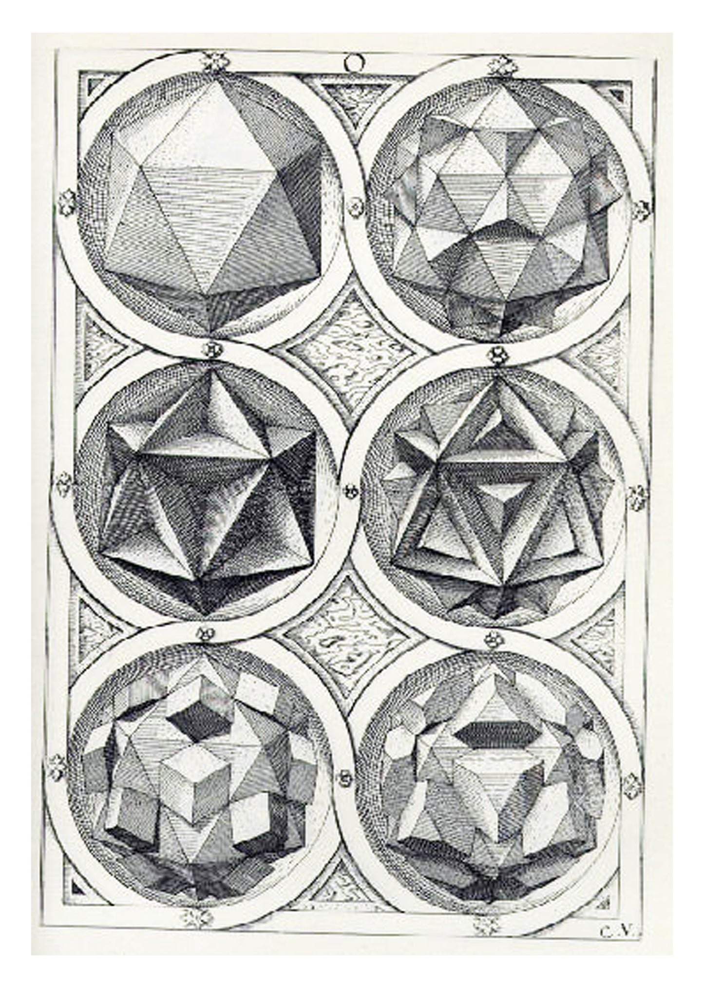 Perspective of the Regular Bodies V