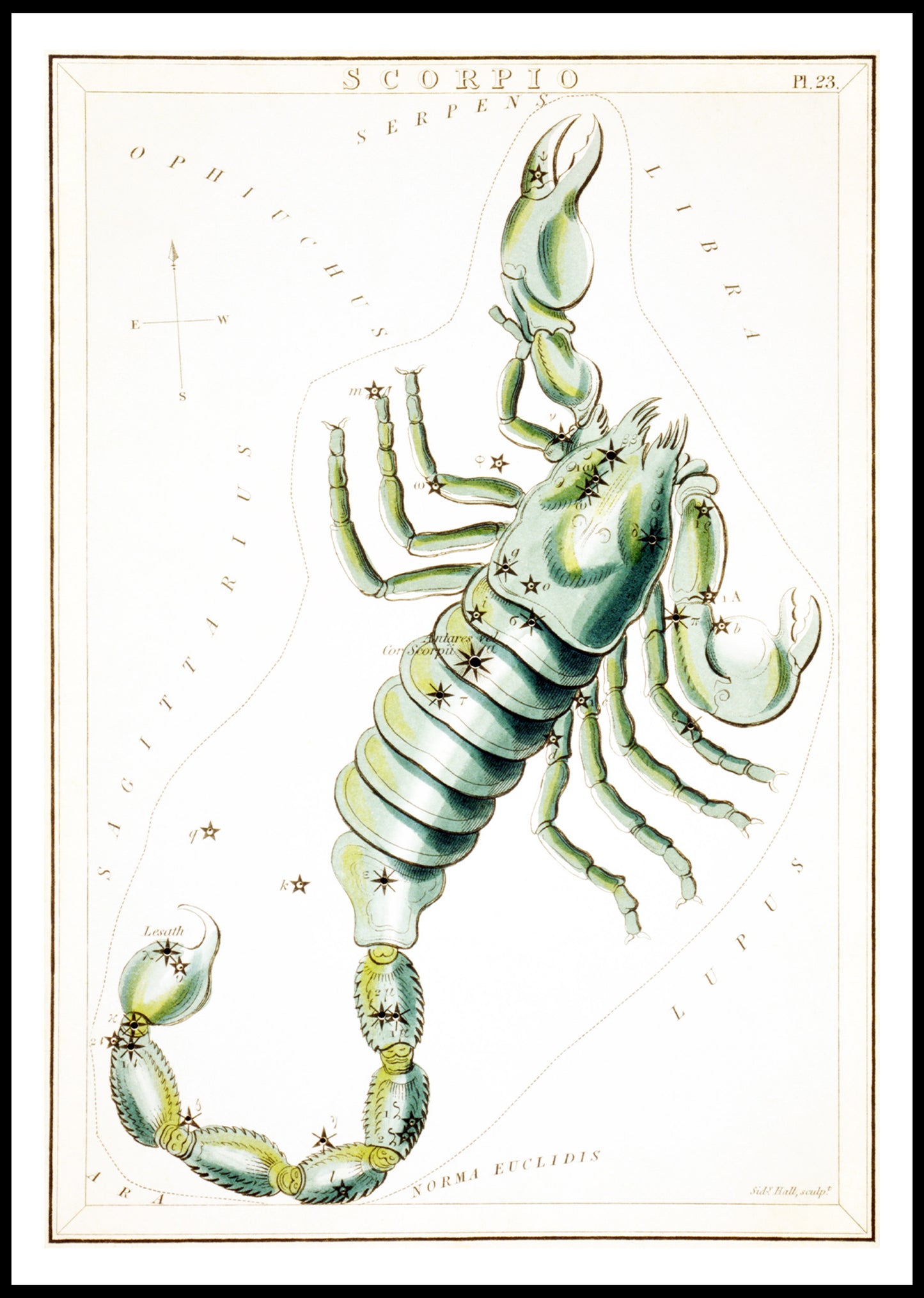 Scorpio