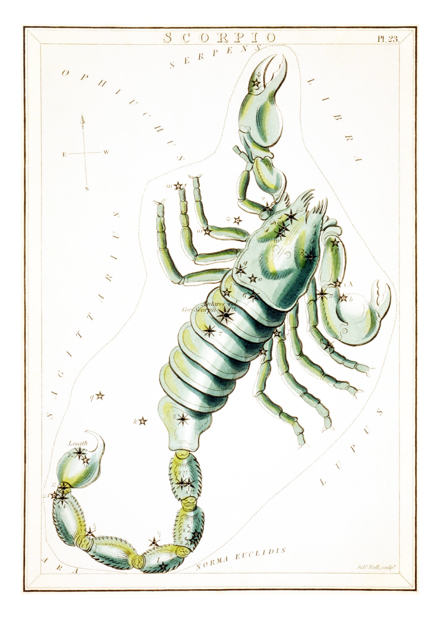 Scorpio