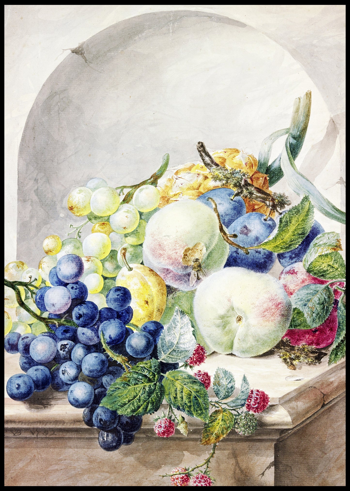 Piece of fruit in a niche on a marble table, plums, peaches, grapes and blackberries