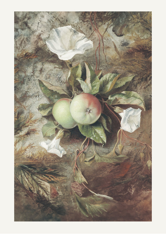 Autumn , Apples and Convolvulus