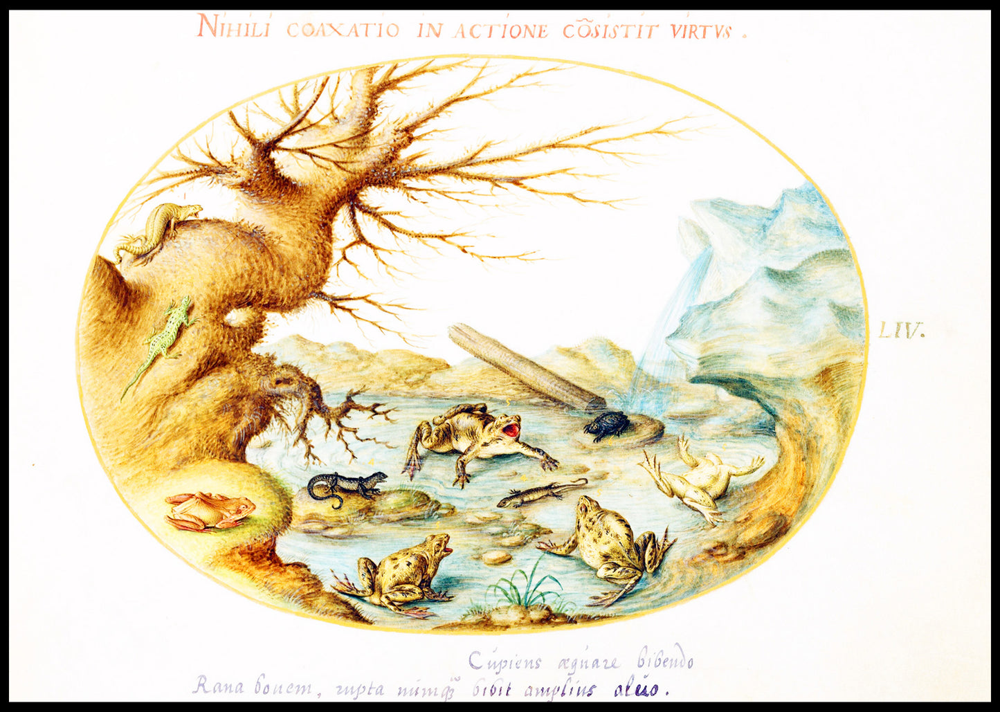 Frogs, Lizards, and Salamanders in a Landscape