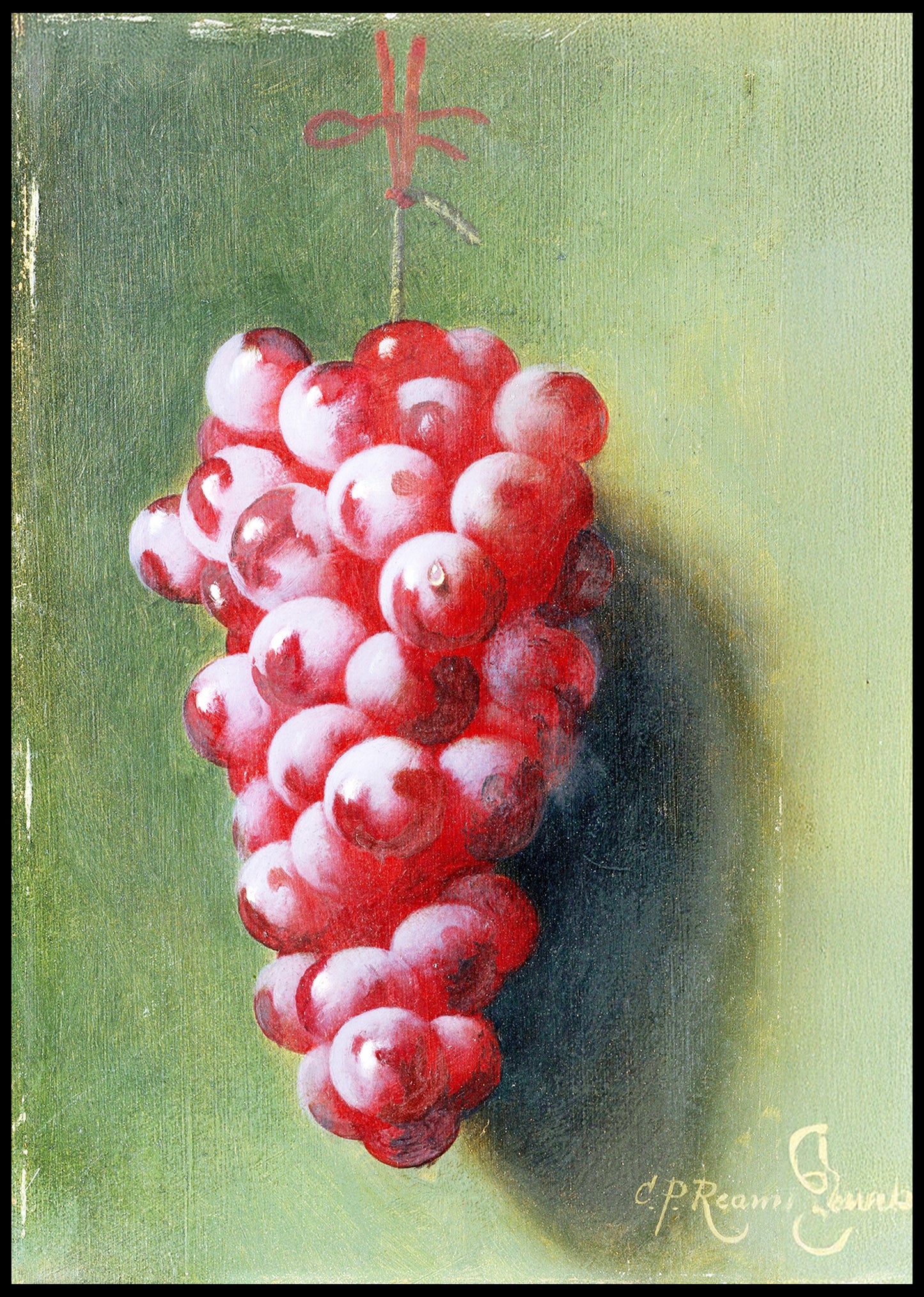 Still Life with Grapes