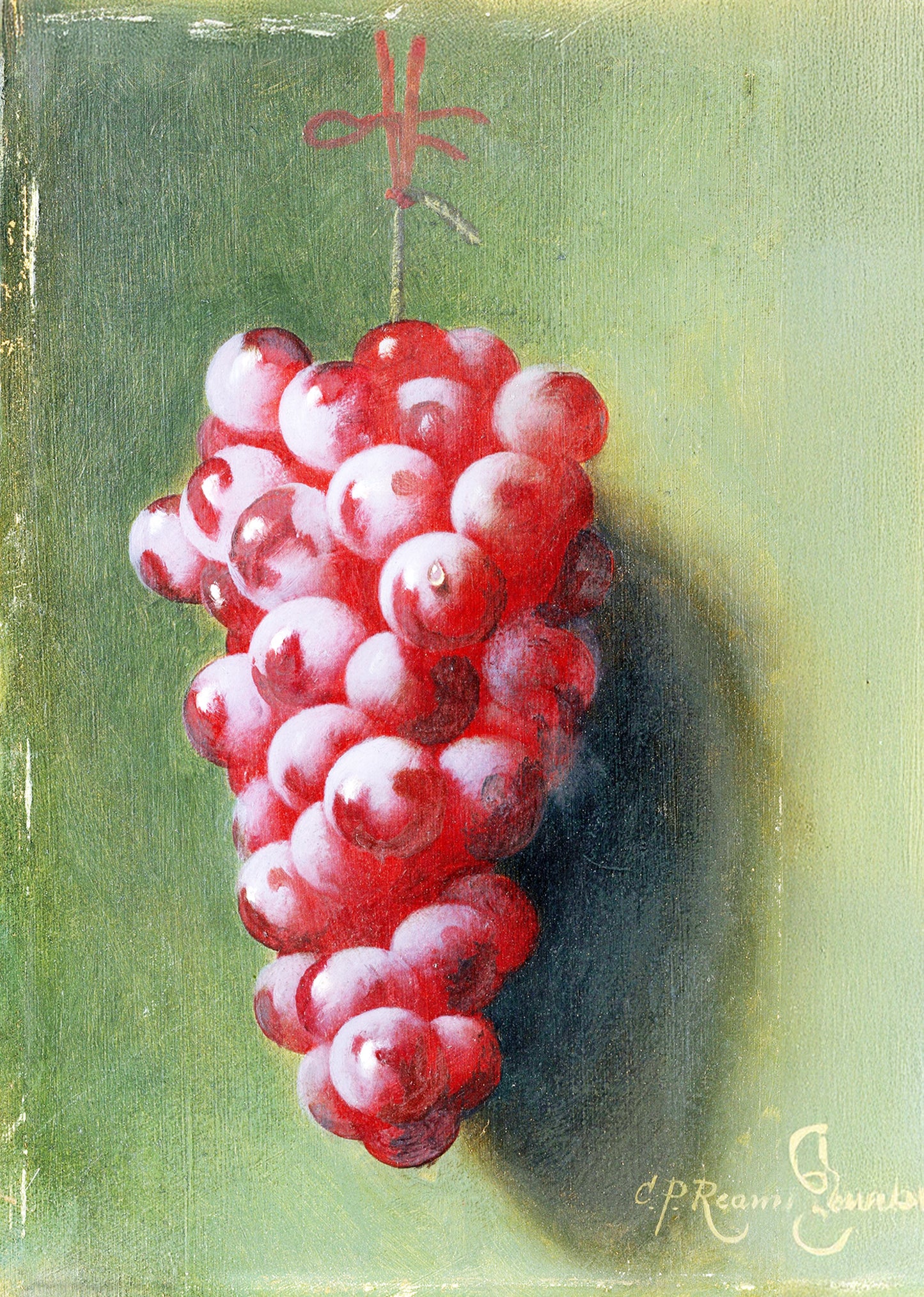 Still Life with Grapes