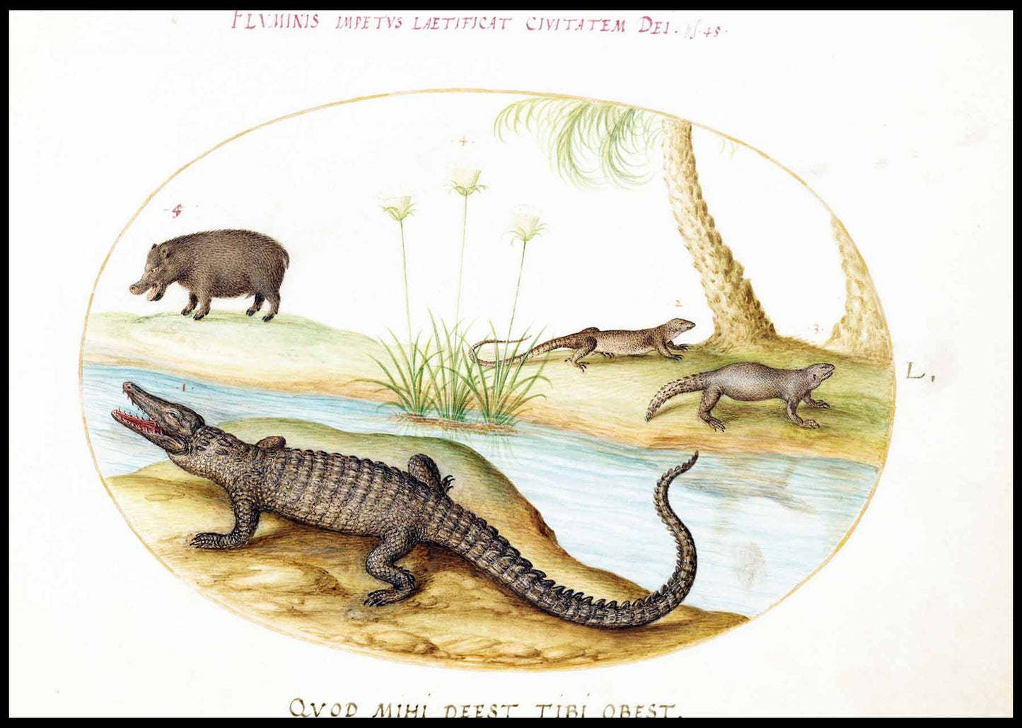 A Crocodile, a Hippopotomus, a Land Crocodile or Tegu Lizard, and a Crocodile or Spiny-Tailed Lizard with a Papyrus Plant.