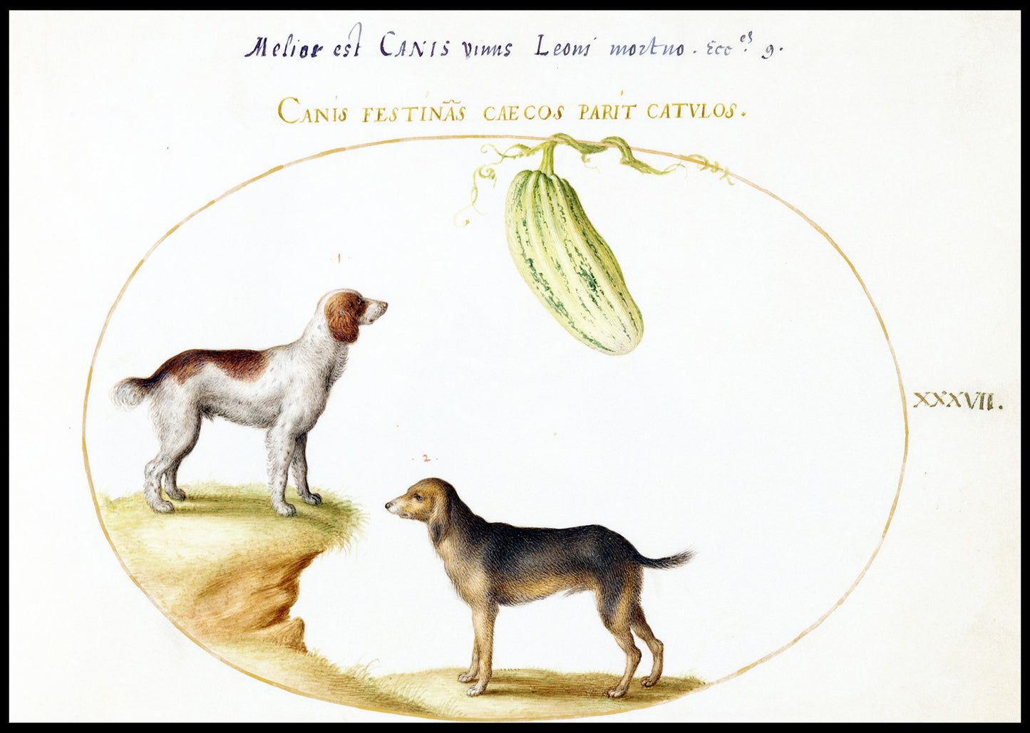 Two Spaniels with a Gourd