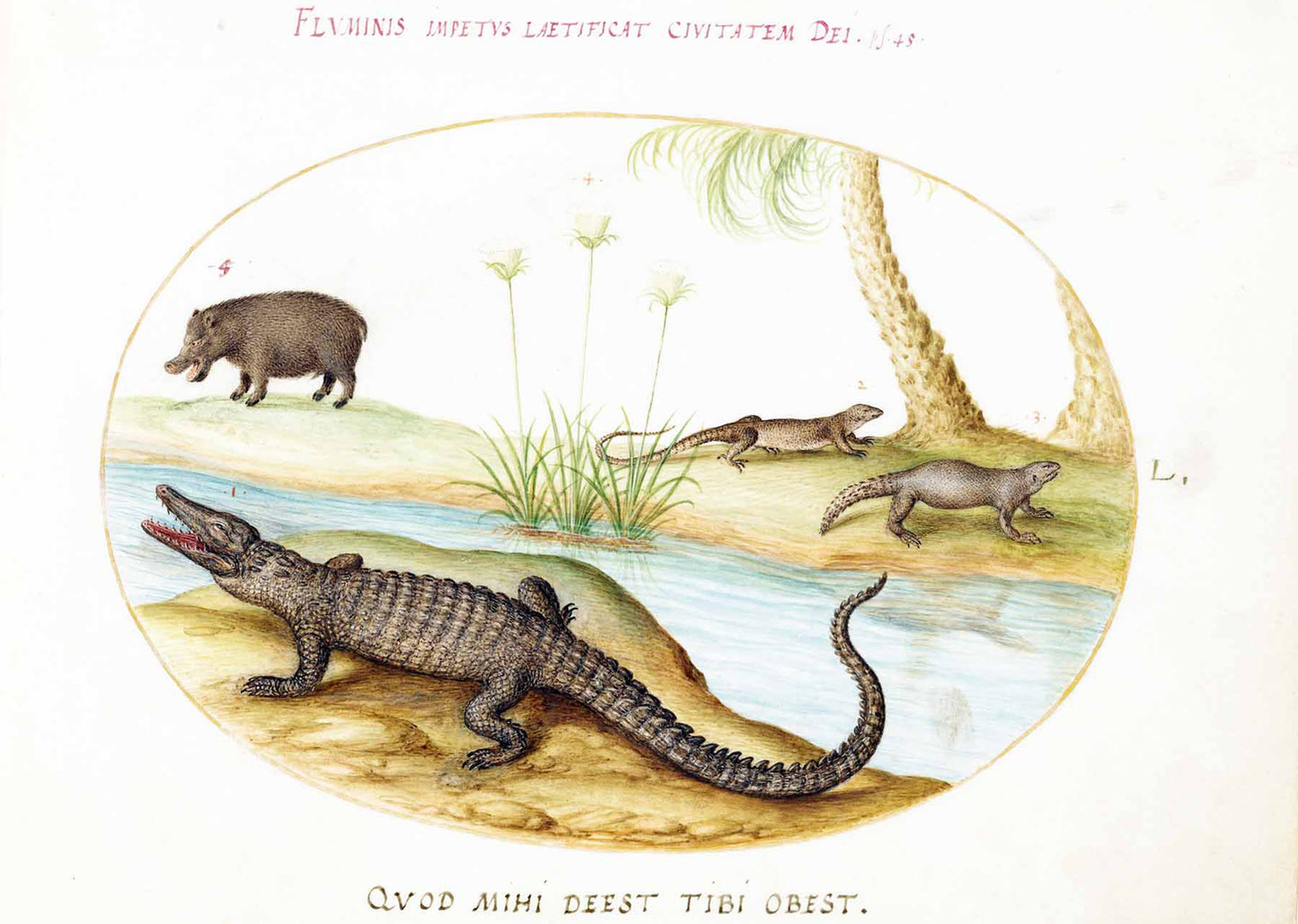 A Crocodile, a Hippopotomus, a Land Crocodile or Tegu Lizard, and a Crocodile or Spiny-Tailed Lizard with a Papyrus Plant.