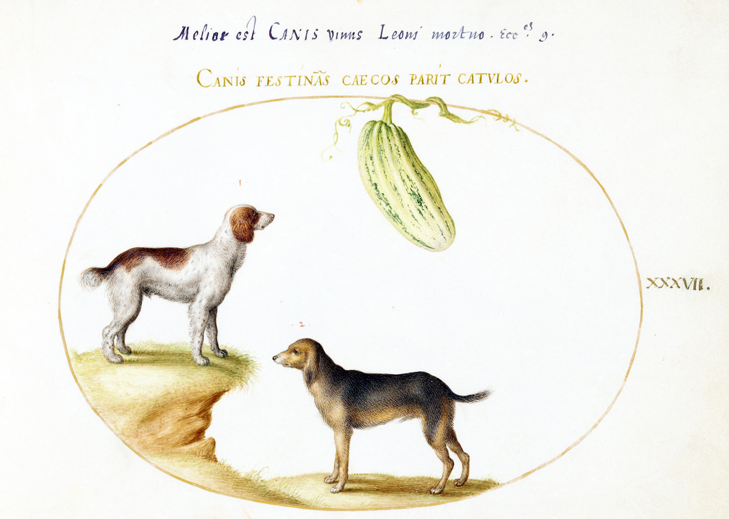 Two Spaniels with a Gourd