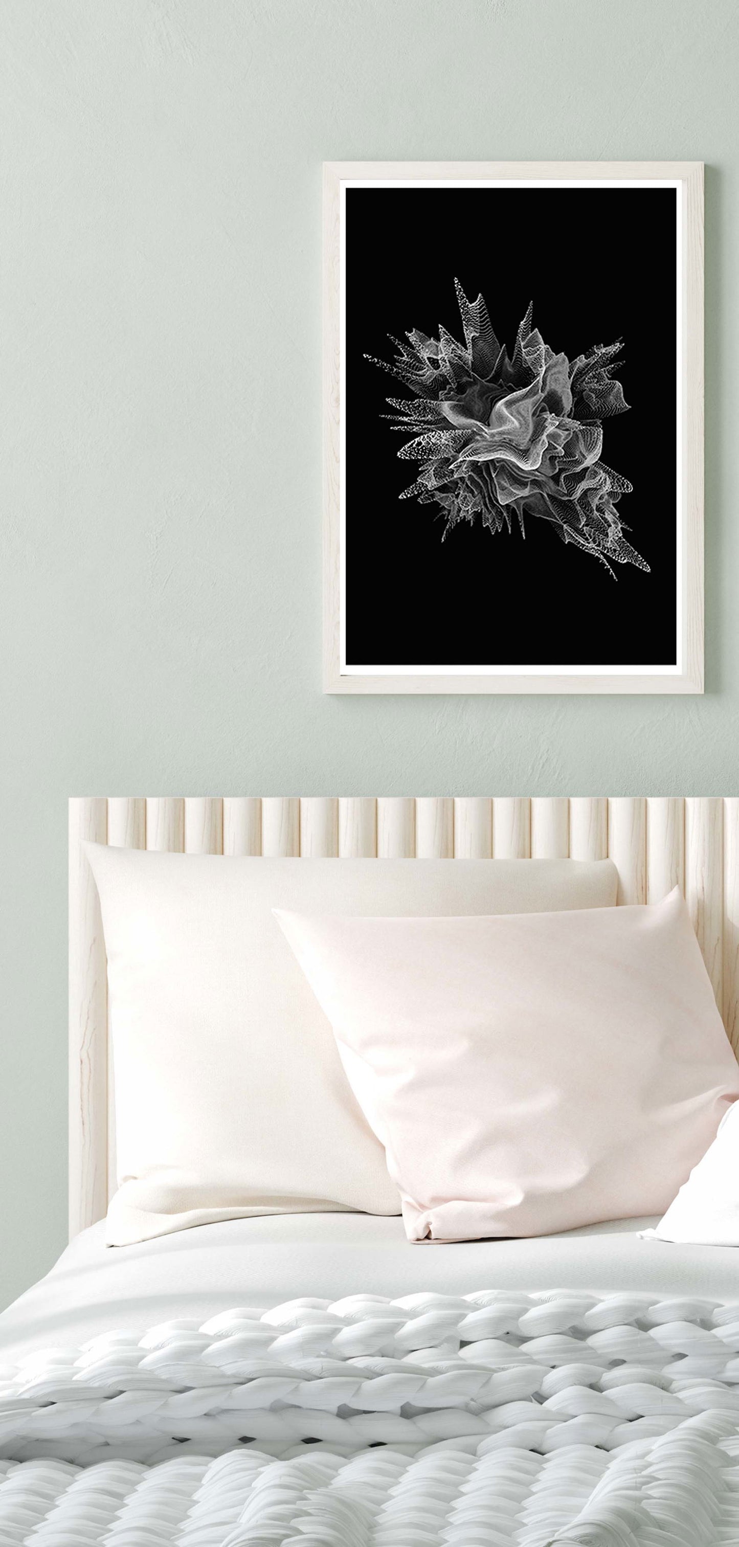 Abstract Seashell Poster - Hakyarts