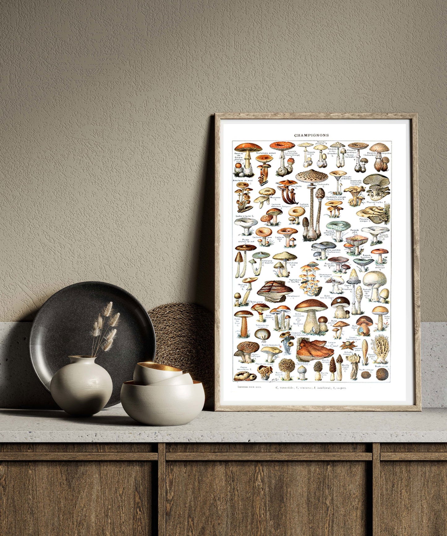 Adolphe Millot - Champignons Poster - Hakyarts