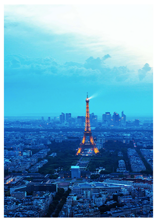 Aerial View of Paris Poster - Hakyarts