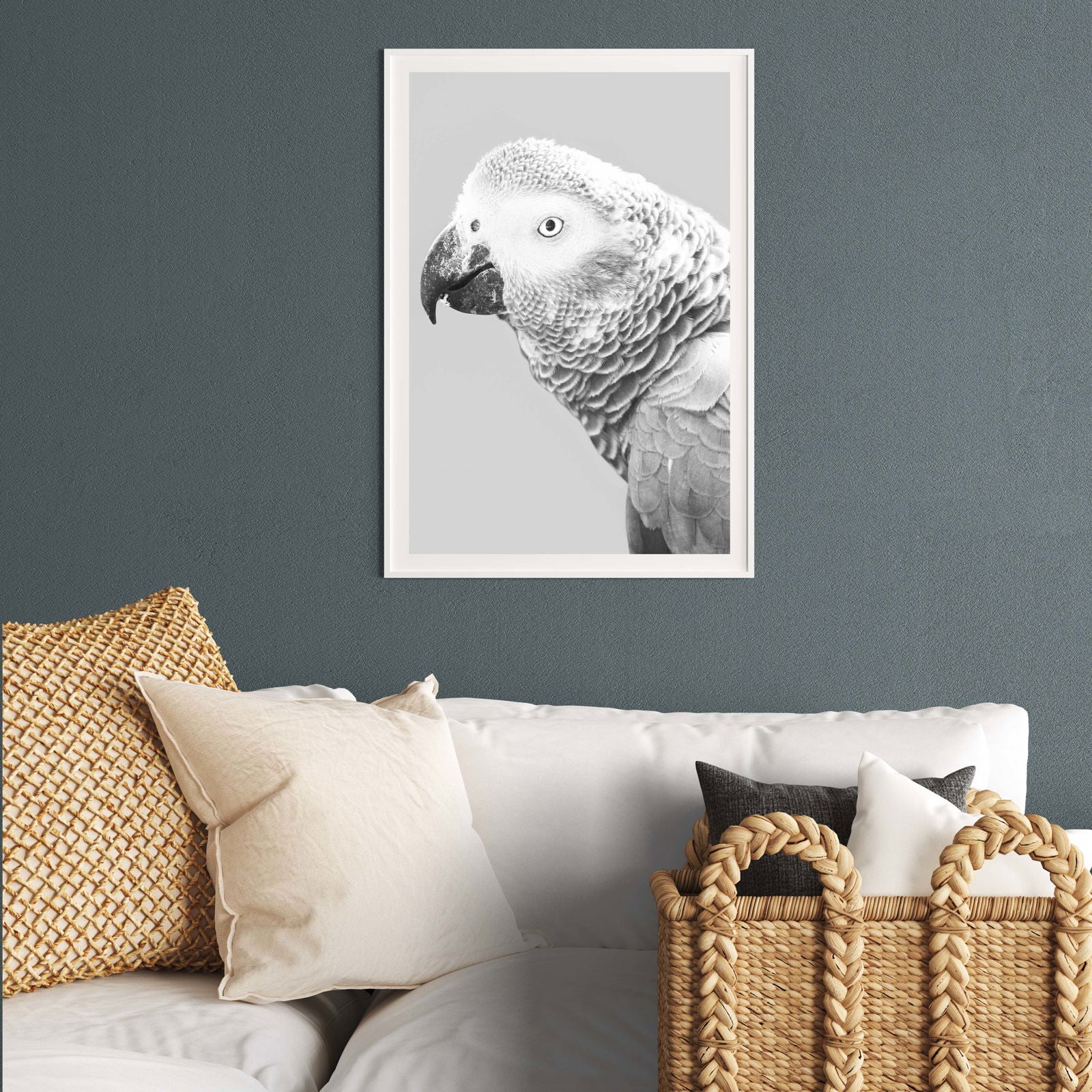 African Grey Parrot Poster - Hakyarts