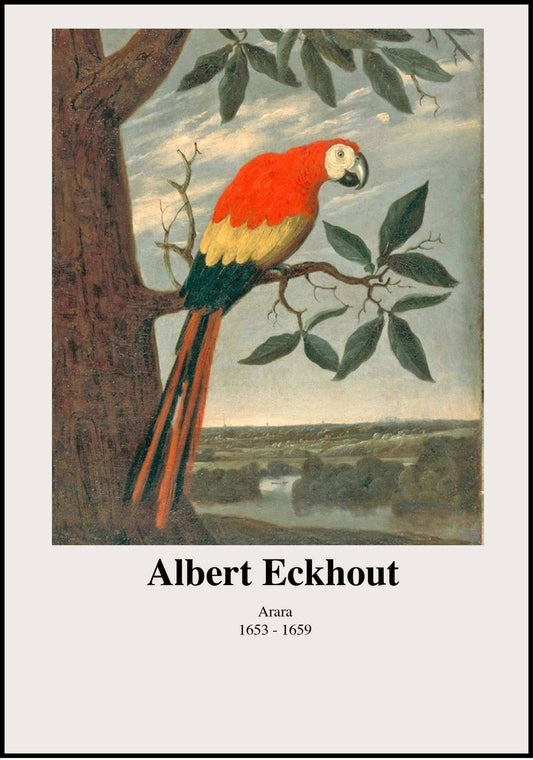 Albert Eckhout - Arara Poster - Hakyarts