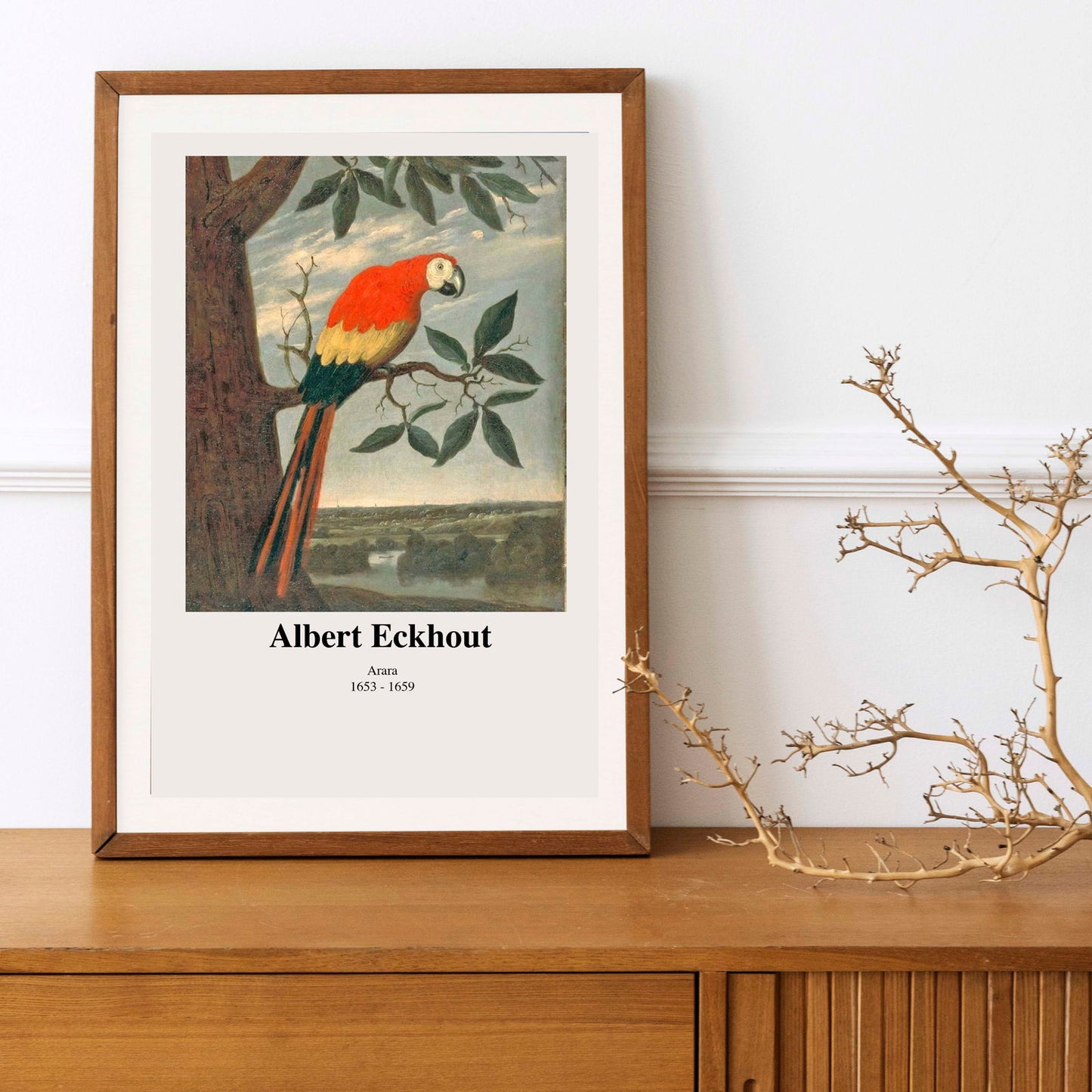 Albert Eckhout - Arara Poster - Hakyarts