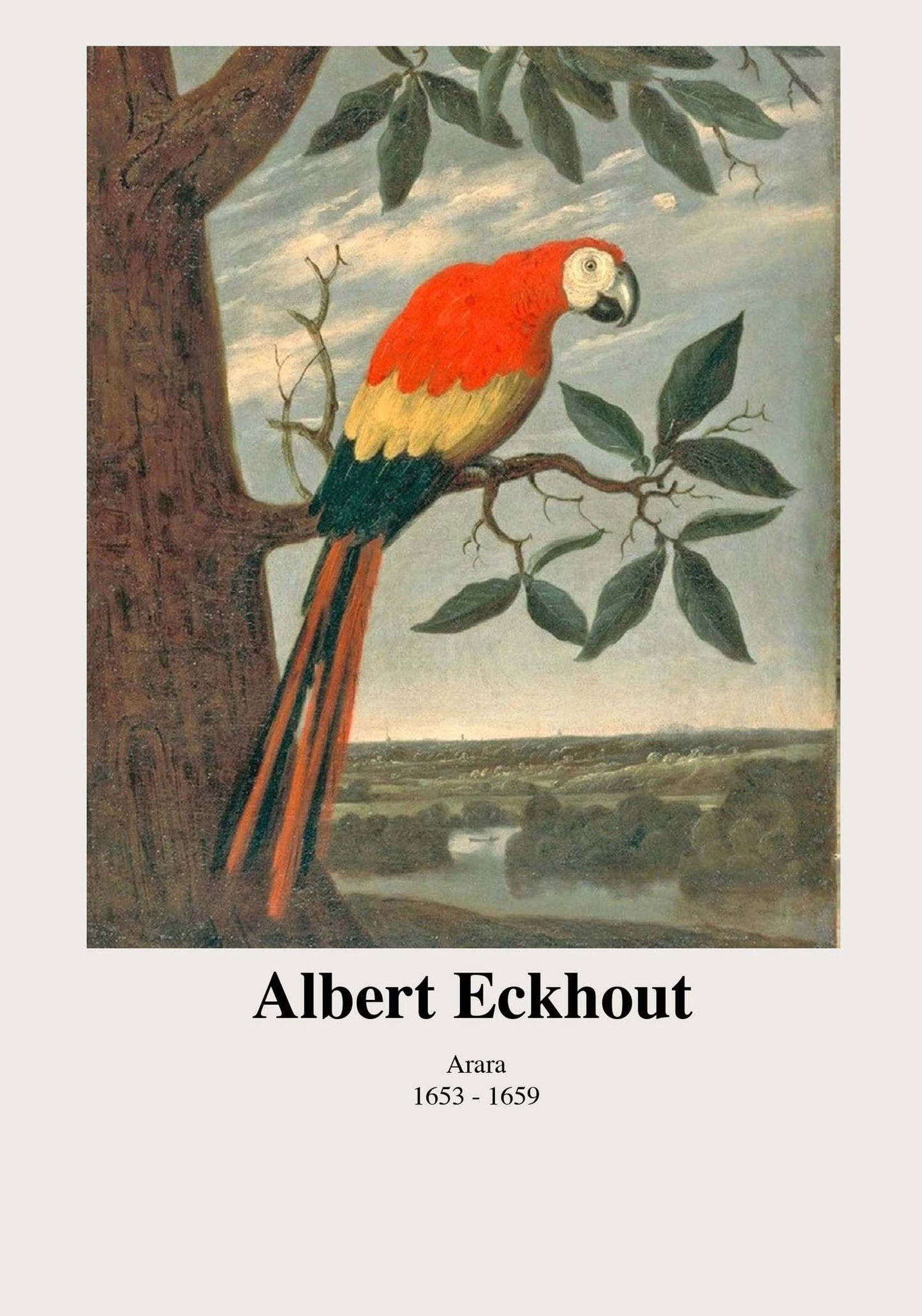 Albert Eckhout - Arara Poster - Hakyarts