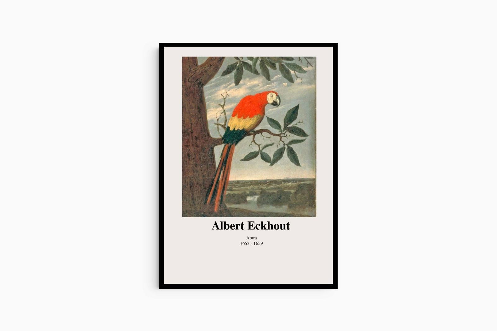 Albert Eckhout - Arara Poster - Hakyarts