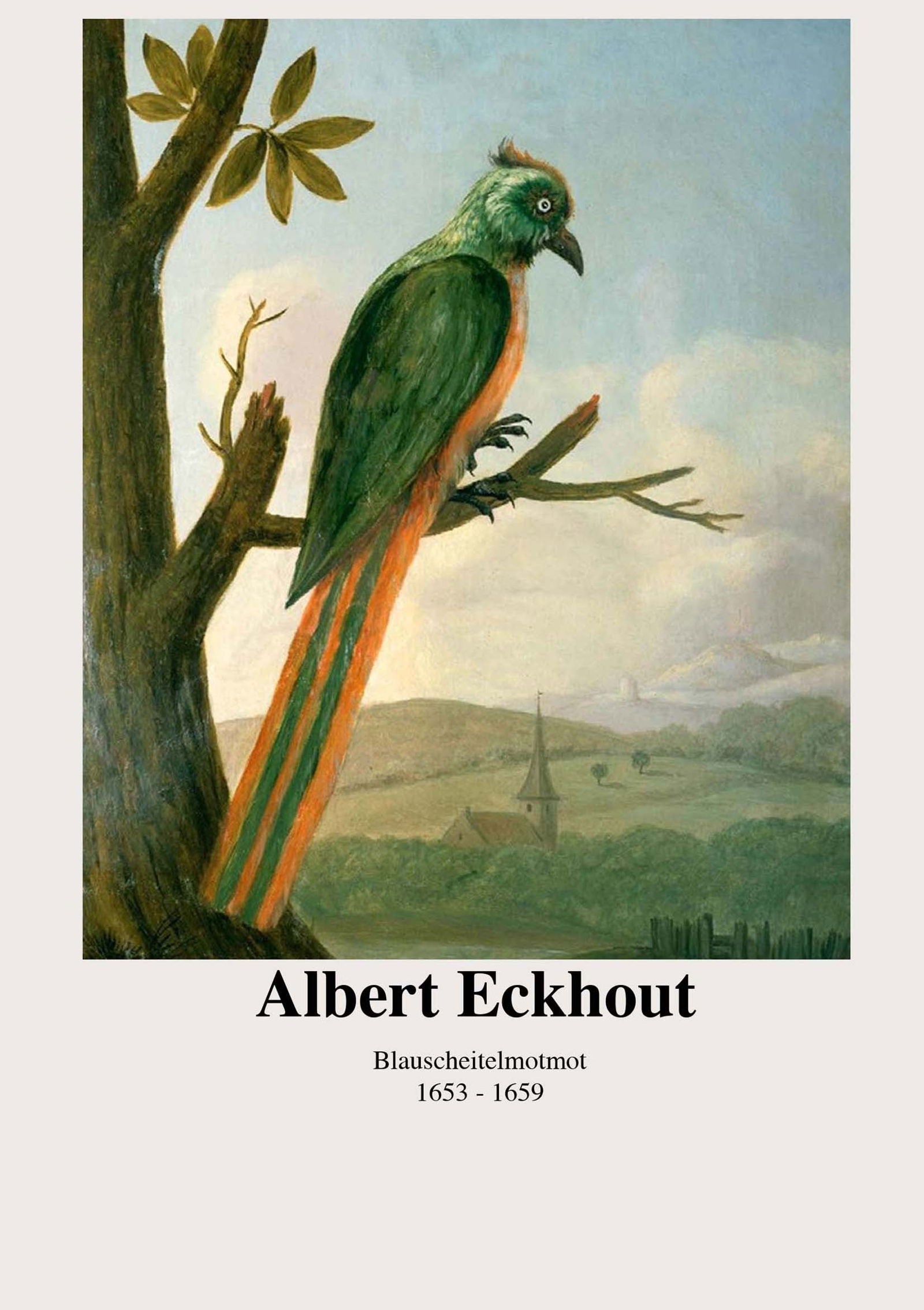 Albert Eckhout - Blauscheitelmotmot Poster - Hakyarts