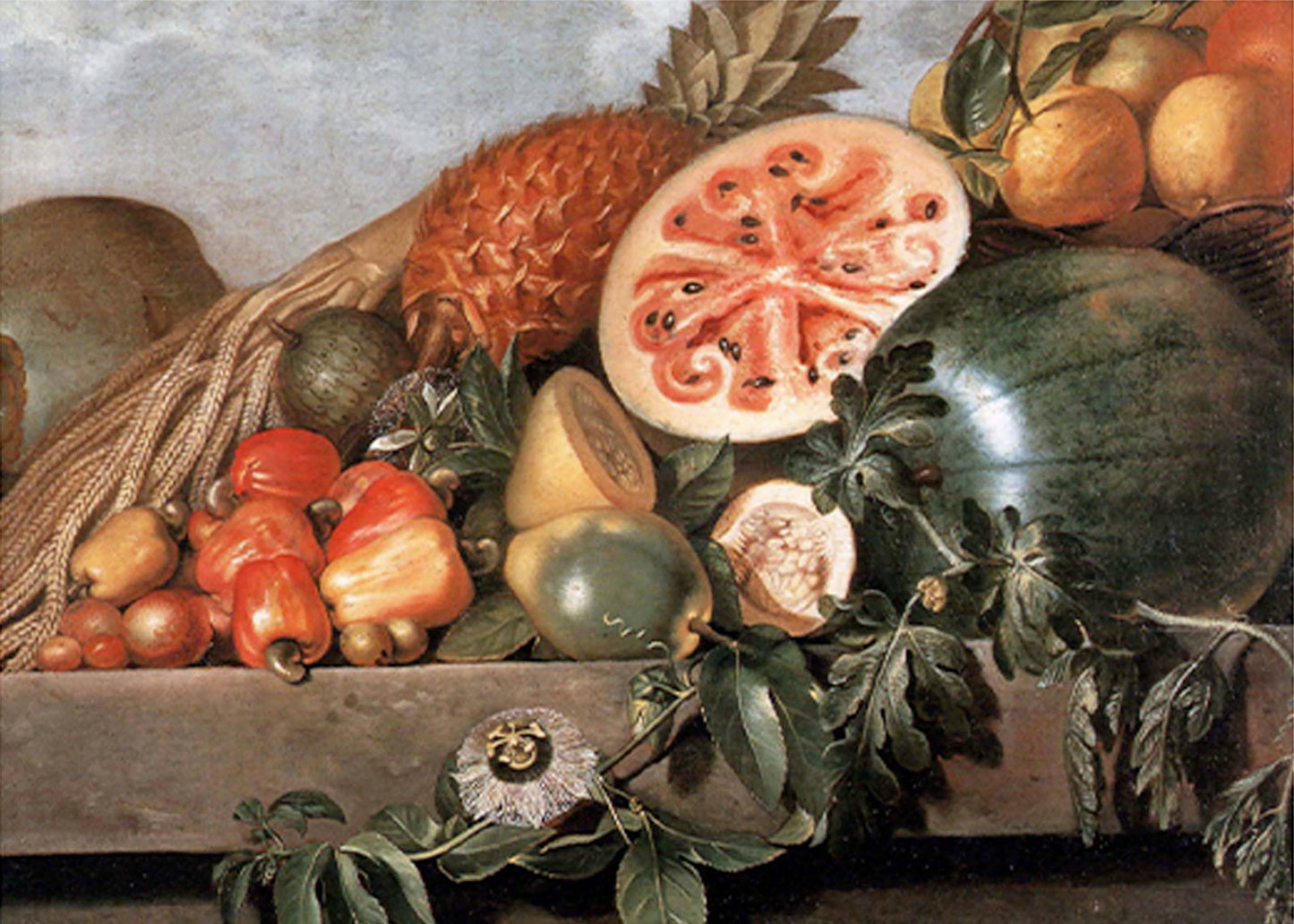 Albert Eckhout - Watermelon, Pineapple and Other Fruits - Hakyarts