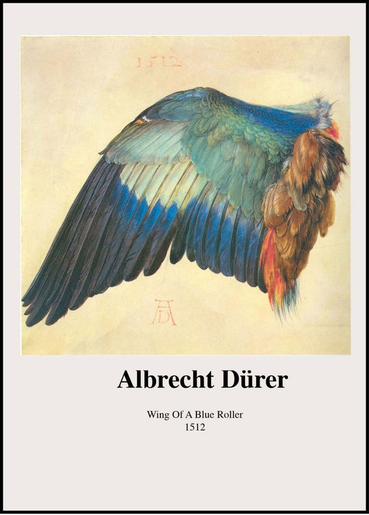 Albrecht Dürer - Wing of a Blue Roller Poster - Hakyarts