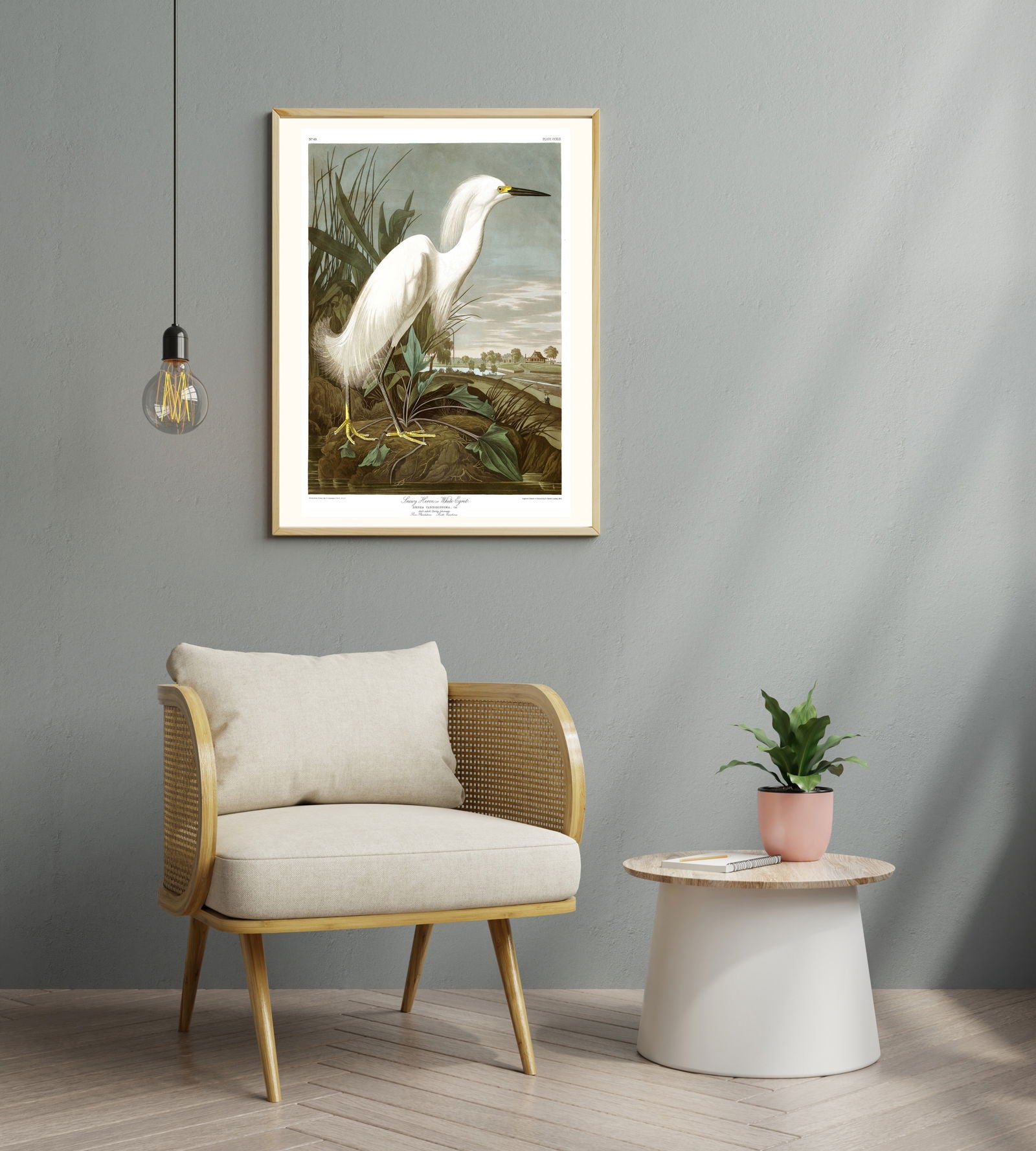 Audubon - Snowy Heron Poster - Hakyarts