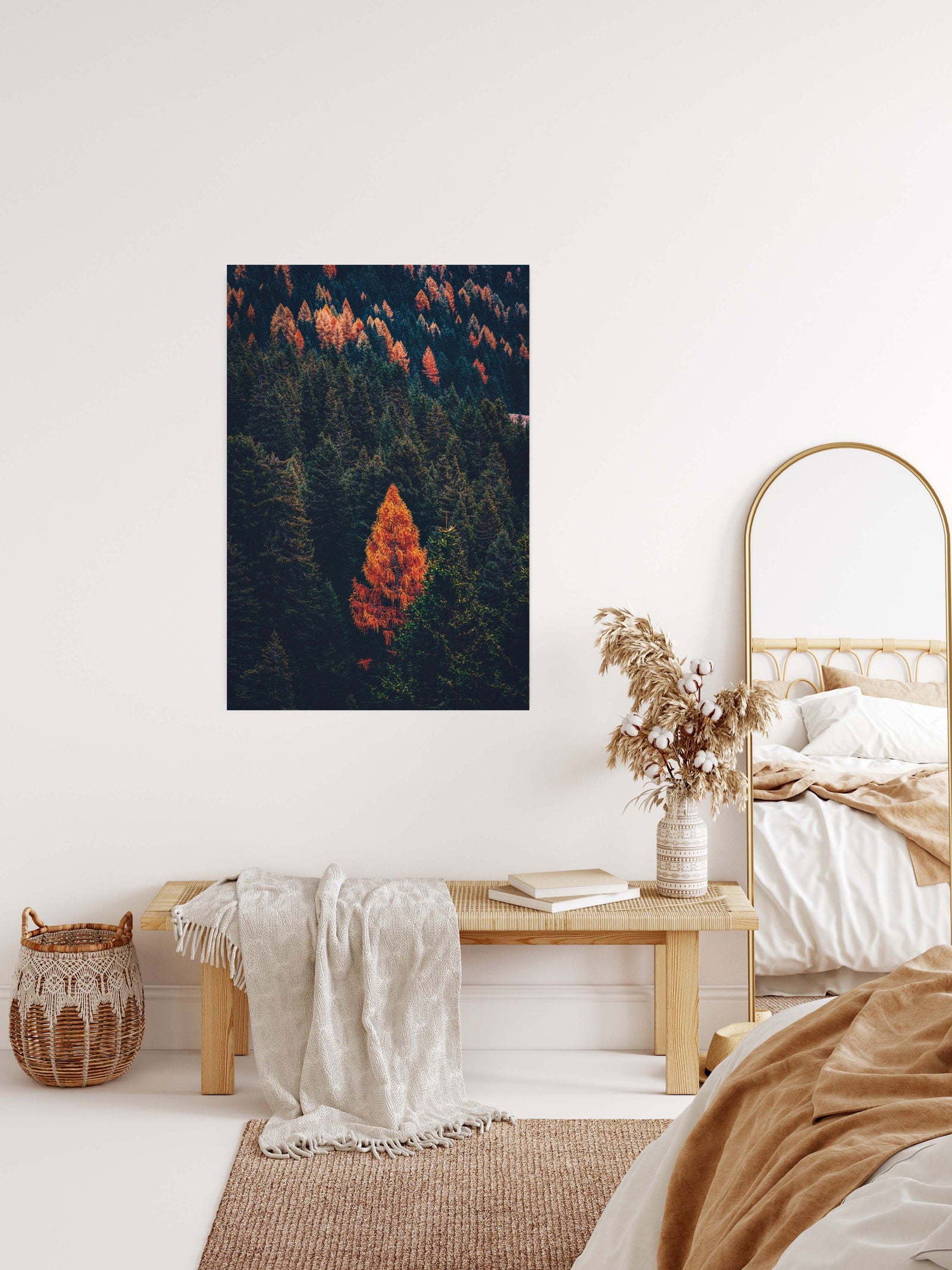 Autumnal Pine Trees Poster - Hakyarts