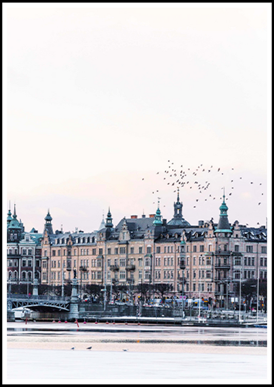 Birds Flying over Stockholm Poster - Hakyarts