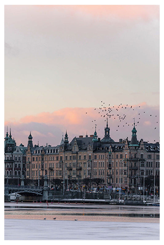 Birds over Stockholm Poster - Hakyarts