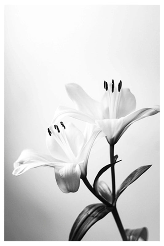 Blossoming Flowers Poster - Hakyarts