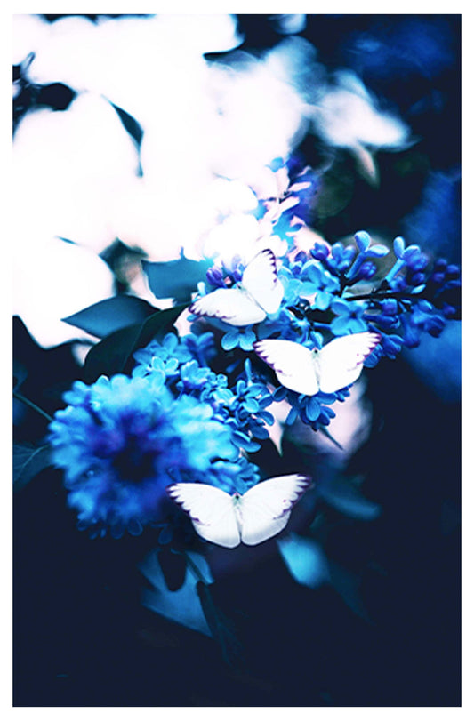 Blue Delicate Flowers Poster - Hakyarts