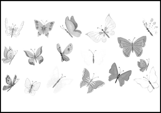 Butterflies Poster - Hakyarts