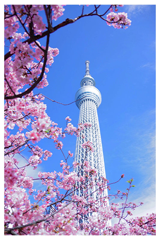 Cherry Blossom Skycraper Poster - Hakyarts