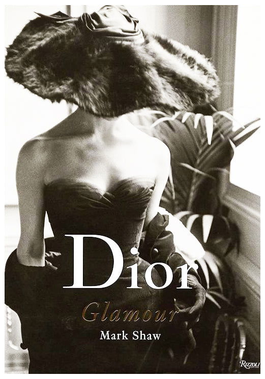 Dior Glamour Poster - Hakyarts