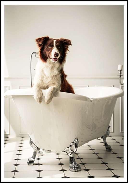 Dog In A Bathtub Poster - Hakyarts